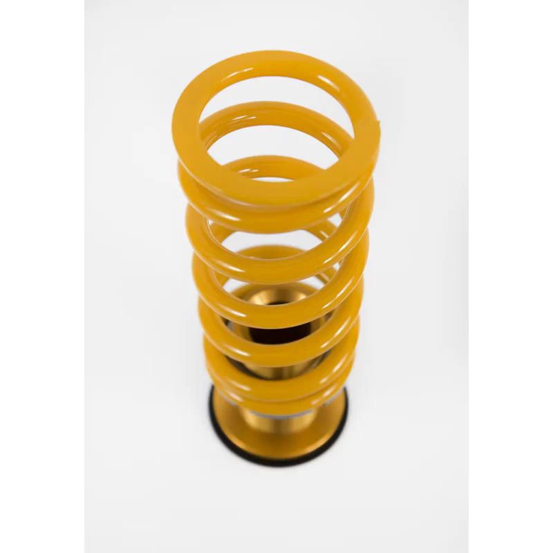 Ohlins Road & Track Coilovers - Audi RS3 8V - Image 3